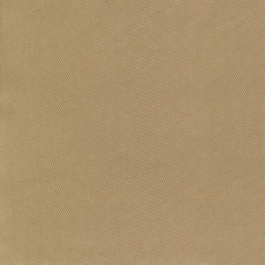 Trace Camel by Norbar Fabric CAMPO 100% COTTON USA 55 - Fabric Carolina -
