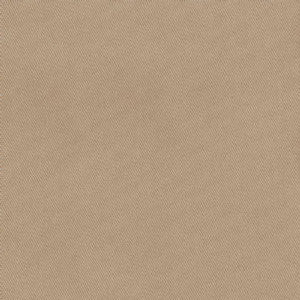 Trace Linen by Norbar Fabric CAMPO 100% COTTON USA 55 - Fabric Carolina -