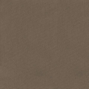 Trace Mushroom by Norbar Fabric CAMPO 100% COTTON USA 55 - Fabric Carolina -