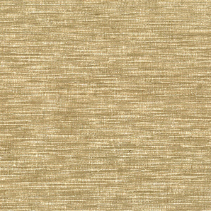 Tradition 1 Straw by Stout Fabric BEAUTIFUL ACCENTS 100%POL INDIA FLAME RETARDANT-CA BULLETIN 117-SECTION E FLAME RETARDANT-U.F.A.C. CLASS 1 FLAME RETARDANT-N.F.P.A. 260A CLASS 1 WYZENBEEK 30 000 DOUBLE RUB WEAR TEST (HEAVY DUTY) Horizontal: 0 and Vertical: 0 54 in - Fabric Carolina -