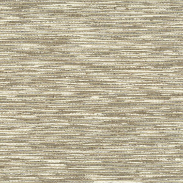 Tradition 3 Taupe by Stout Fabric BEAUTIFUL ACCENTS 100%POL INDIA FLAME RETARDANT-CA BULLETIN 117-SECTION E FLAME RETARDANT-U.F.A.C. CLASS 1 FLAME RETARDANT-N.F.P.A. 260A CLASS 1 WYZENBEEK 30 000 DOUBLE RUB WEAR TEST (HEAVY DUTY) Horizontal: 0 and Vertical: 0 54 in - Fabric Carolina -