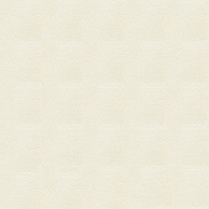 Tradewinds 6602 Arctic Frost by Ship to Shore Fabric