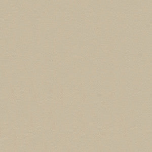 Tradewinds 6610 Coastal Sand by Ship to Shore Fabric