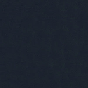 Tradewinds 6615 Delta Blue by Ship to Shore Fabric
