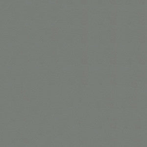 Tradewinds 6617 Harbor Gray by Ship to Shore Fabric