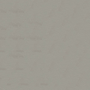 Tradewinds 6622 Pacific Mist by Ship to Shore Fabric