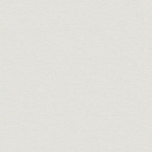 Tradewinds 6648 Ultra White by Ship to Shore Fabric