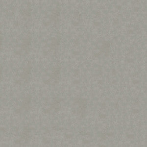 Tradewinds 7718 Stormy by Ship to Shore Fabric
