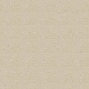 Tradewinds 7719 Seashell by Ship to Shore Fabric