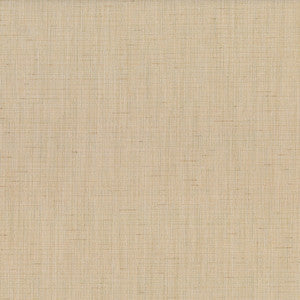 Trance 605 Abalone by Abbeyshea Fabric