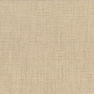 Trance 605 Abalone by Abbeyshea Fabric