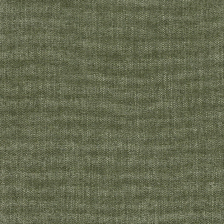 Trevor 1 Fern by Stout Fabric LIVING IS EASY ALOE/MINERAL 100%POL CHINA PERFORMANCE RATED FABRIC FLAME RETARDANT-U.F.A.C. CLASS 1 CATB 117-2013 WYZENBEEK 50 000 DOUBLE RUB WEAR TEST (HEAVY DUTY) Horizontal: 0.000 and Vertical: 0.000 54 in - Fabric Carolina -