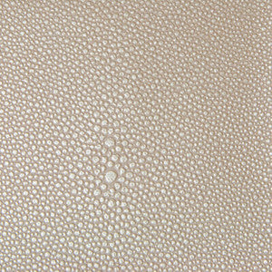 TREZZO.11.0 by Kravet Fabric