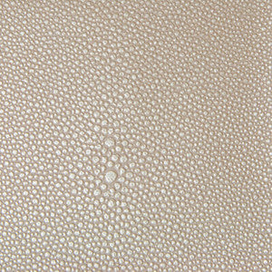 TREZZO.11.0 by Kravet Fabric