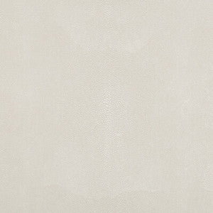 TREZZO.1.0 by Kravet Fabric