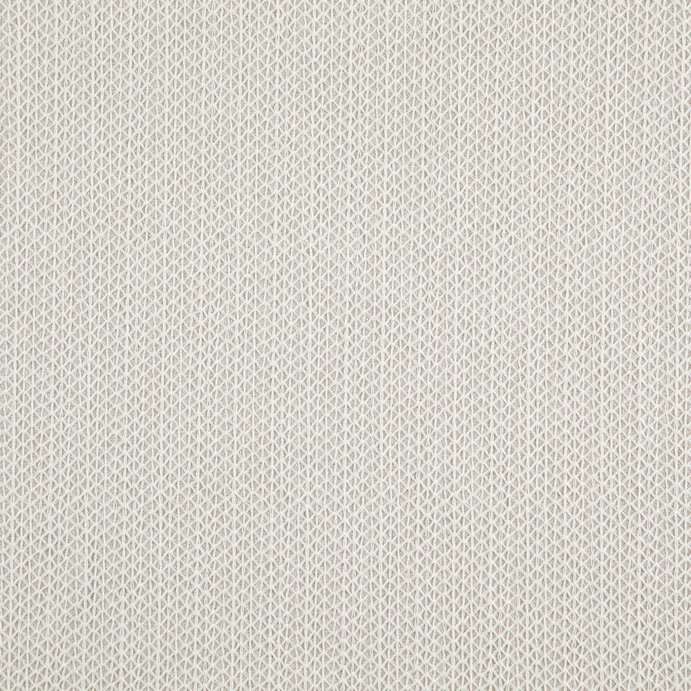 Trinity 32J8721 by JF Fabric Divine Embroidery 72% Polyester, 28% Viscose India Horizontal: 0.875 and Vertical: 0.325 55 - Fabric Carolina -
