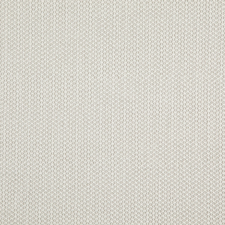Trinity 32J8721 by JF Fabric Divine Embroidery 72% Polyester, 28% Viscose India Horizontal: 0.875 and Vertical: 0.325 55 - Fabric Carolina -