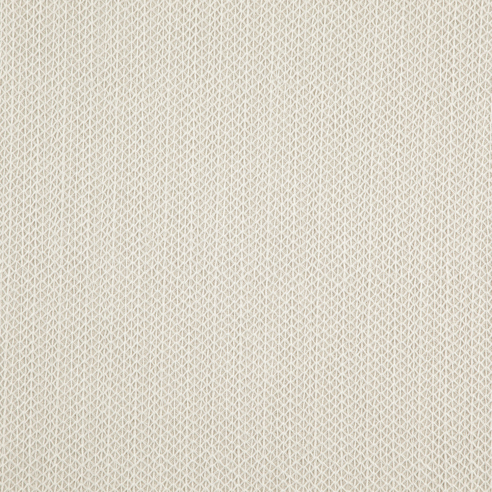 TRINITY 92J8721 by JF Fabric Divine Embroidery 72% Polyester, 28% Viscose India Horizontal: 0.875 and Vertical: 0.325 55 - Fabric Carolina -