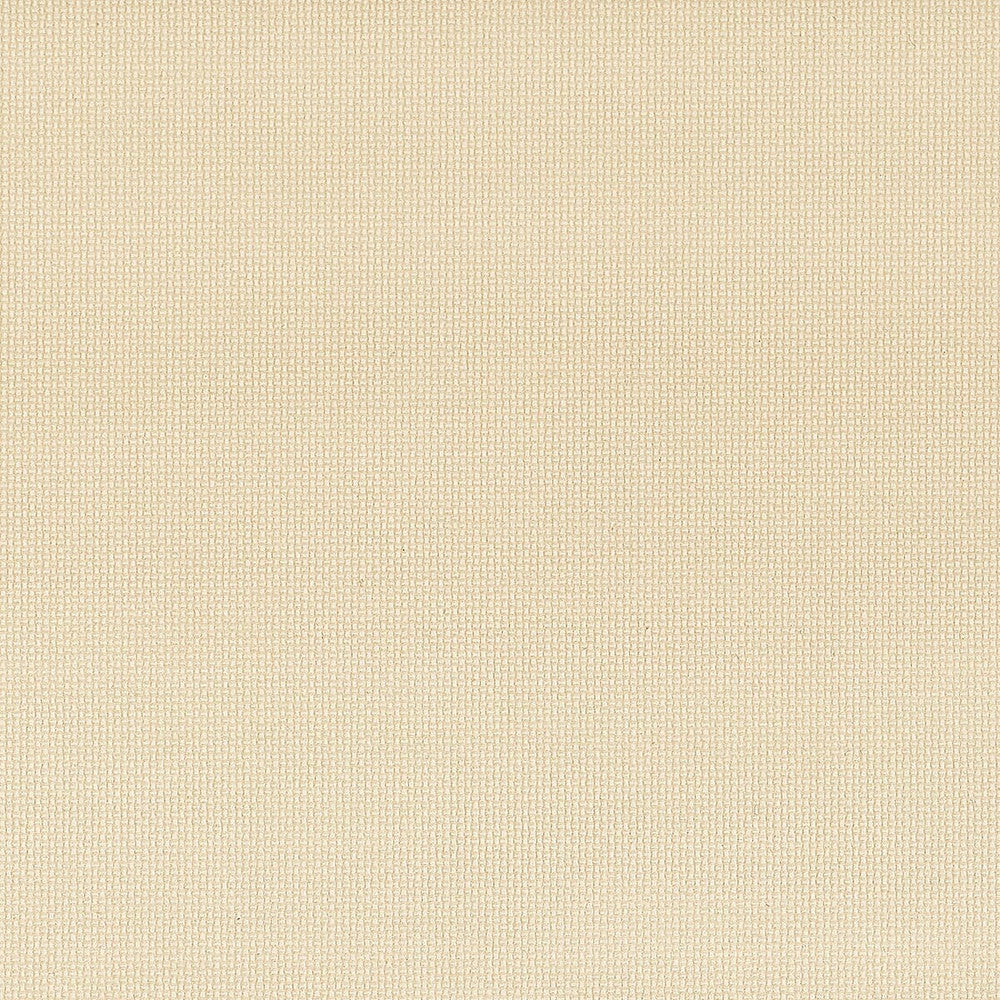Trio 5 Beige by Stout Fabric On The Go 100% Polyurethane 1% Other CHINA FLAME RETARDANT-CA BULLETIN 117-SECTION E FLAME RETARDANT-U.F.A.C. CLASS 1 (OR A) FLAME RETARDANT-N.F.P.A. 260A CLASS 1 WYZENBEEK 500 000 DOUBLE RUB WEAR TEST(EXTREMELY HEAVY DUTY) Horizontal: 0 and Vertical: 0 54 in - Fabric Carolina -