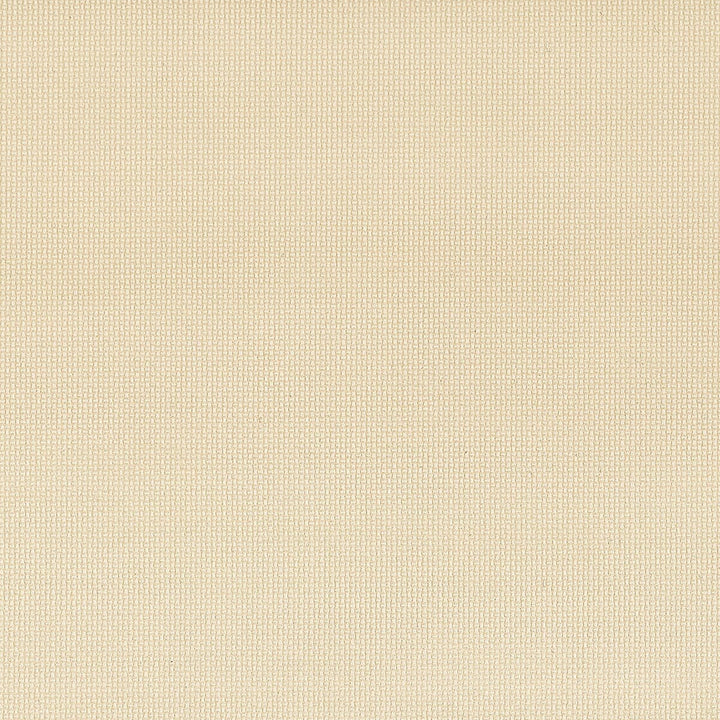 Trio 5 Beige by Stout Fabric ON THE GO 100%POU 1%OTH CHINA FLAME RETARDANT-CA BULLETIN 117-SECTION E FLAME RETARDANT-U.F.A.C. CLASS 1 FLAME RETARDANT-N.F.P.A. 260A CLASS 1 WYZENBEEK 500 000 DOUBLE RUB WEAR TEST(EXTREMELY HEAVY DUTY) </p><p>Repeat: 0 54 in - Fabric Carolina -