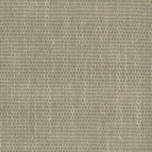 Tripoli Linen 203 by Norbar Fabric Color/BEIGE 80% COTTON 20% LINEN CHINA 4,000 WYZENBEEK 1 5/8"V 7/8"H 56 - Fabric Carolina -