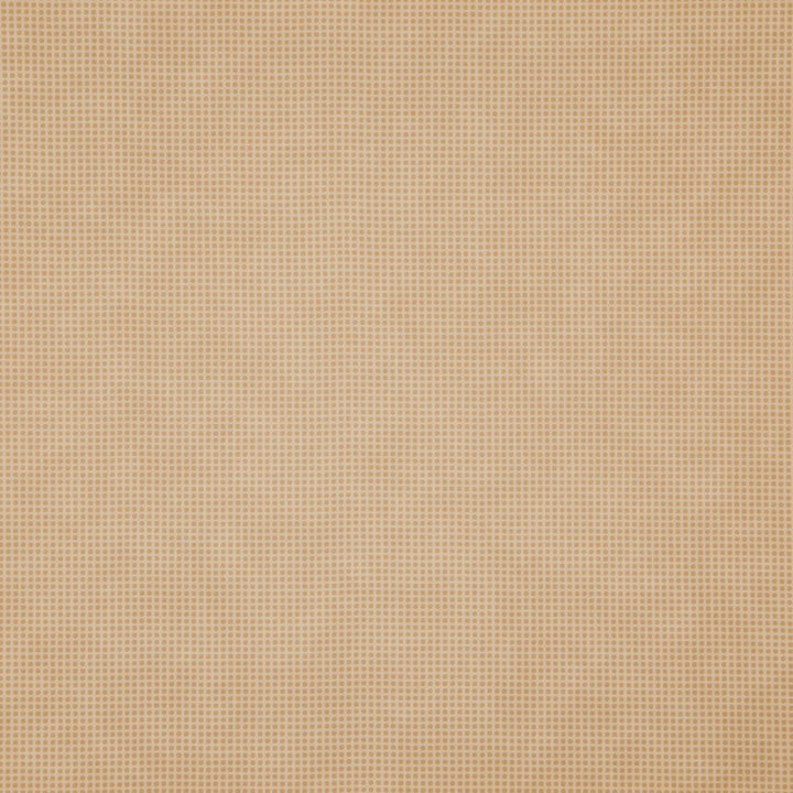 Trivia 11J7531 by JF Fabric Tannery Basics II Book 70% Polyvinyl Chloride, 22% Polyester, 6% Cotton, 2% Polyurethane Turkey 200000 Horizontal: 0.125 and Vertical: 0.125 54 - Fabric Carolina -