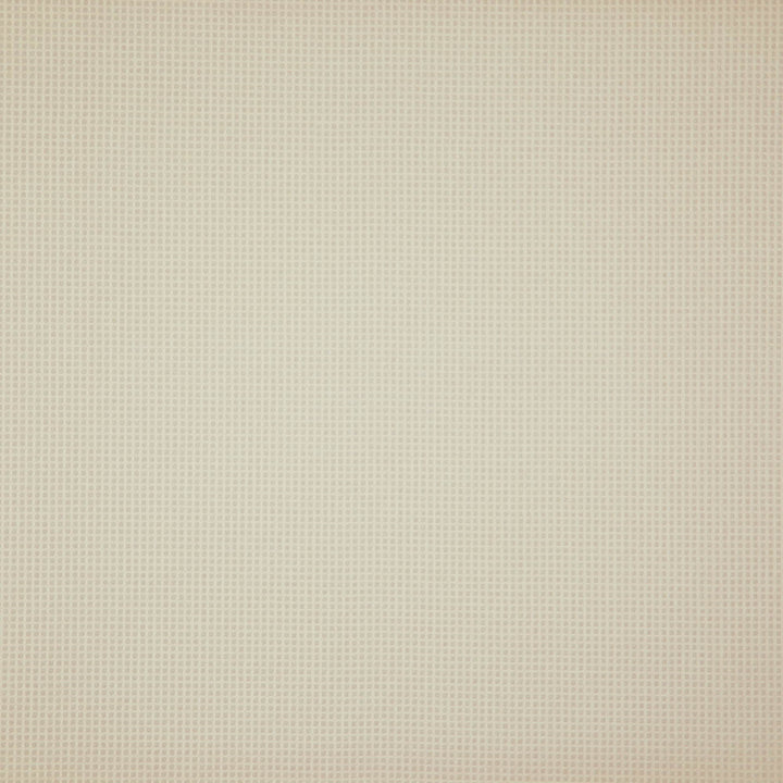 Trivia 91J7531 by JF Fabric Tannery Basics II Book 70% Polyvinyl Chloride, 22% Polyester, 6% Cotton, 2% Polyurethane Turkey 200000 Horizontal: 0.125 and Vertical: 0.125 54 - Fabric Carolina -