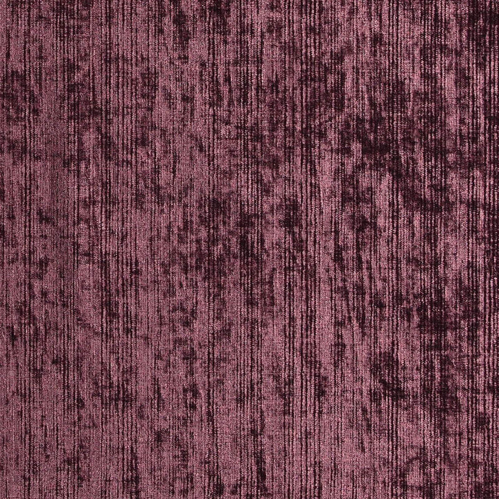 Troop 57J7081 by JF Designer Fabric Winning Weaves V Book 100% Polyester India 110000 Horizontal: and Vertical: 55 - Swanky Fabrics -