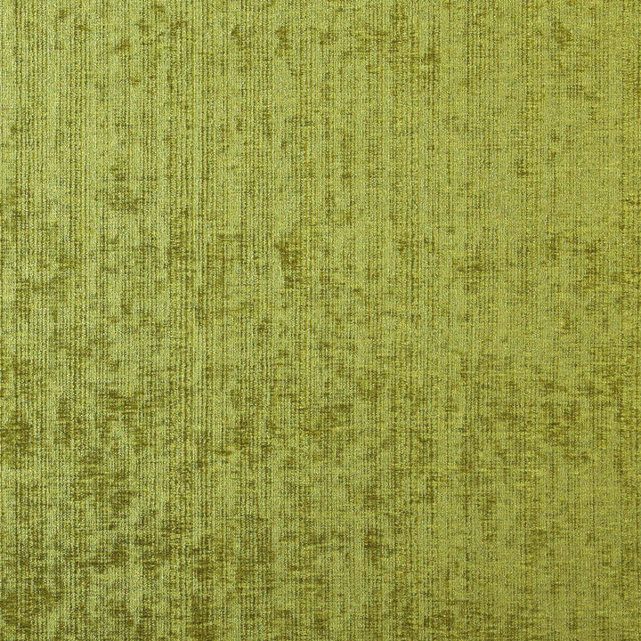 Troop 75J7081 by JF Designer Fabric Winning Weaves V Book 100% Polyester India 110000 Horizontal: and Vertical: 55 - Swanky Fabrics -