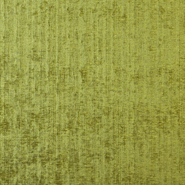 TROOP 75J7081 by JF Fabric Winning Weaves V Book 100% Polyester India Horizontal: and Vertical: 55 - Fabric Carolina -