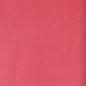 Trophy Azalea 560 by Norbar Fabric