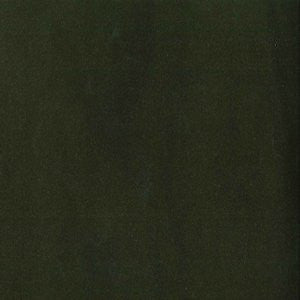 Trophy Bayleaf 376 by Norbar Fabric 93% COTTON 7% POLYESTER TURKEY 54 - Fabric Carolina -