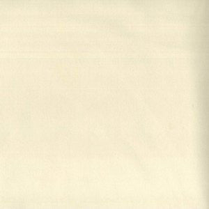 Trophy Champagne 207 by Norbar Fabric