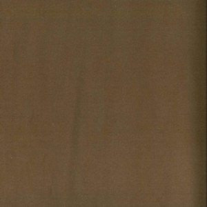 Trophy Macchiato 856 by Norbar Fabric 93% COTTON 7% POLYESTER TURKEY 54 - Fabric Carolina -