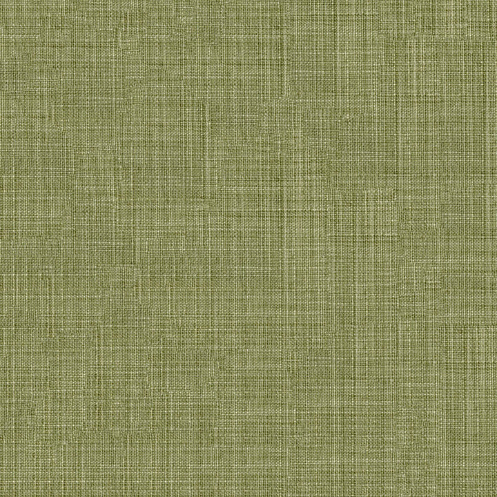 Ferrell 208 Olive Tree by ABBEYSHEA Fabric N/A 100% Polyvinyl Chloride (PVC) China 500,000 Double Rubs </p><p>Repeat: Horizontal: and Vertical: 54" (137 cm) - Fabric Carolina -