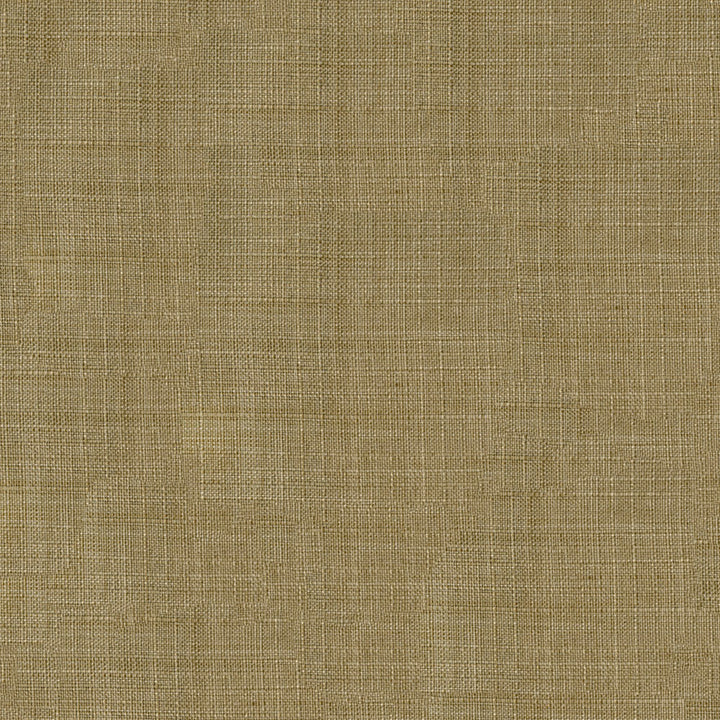 Tropic 609 Cafe au lait by ABBEYSHEA Fabric 100% Polyester ZZZ </p><p>Repeat: Horizontal: and Vertical: 55 in. (140 cm) - Fabric Carolina -