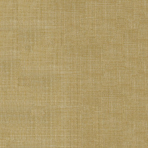 Tropic 67 Champagne by ABBEYSHEA Fabric