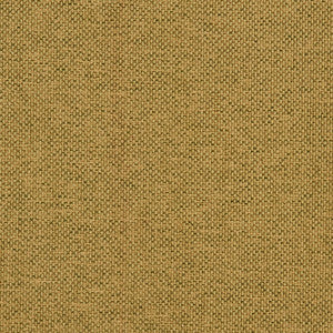 Troy 74J7031 by JF Crypton Fabric