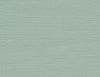 Seahaven Rushcloth Aloe TS80714 by Seabrook Designs Wallpaper