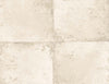 Foundation Sphynx TS81505 by Seabrook Designs Wallpaper