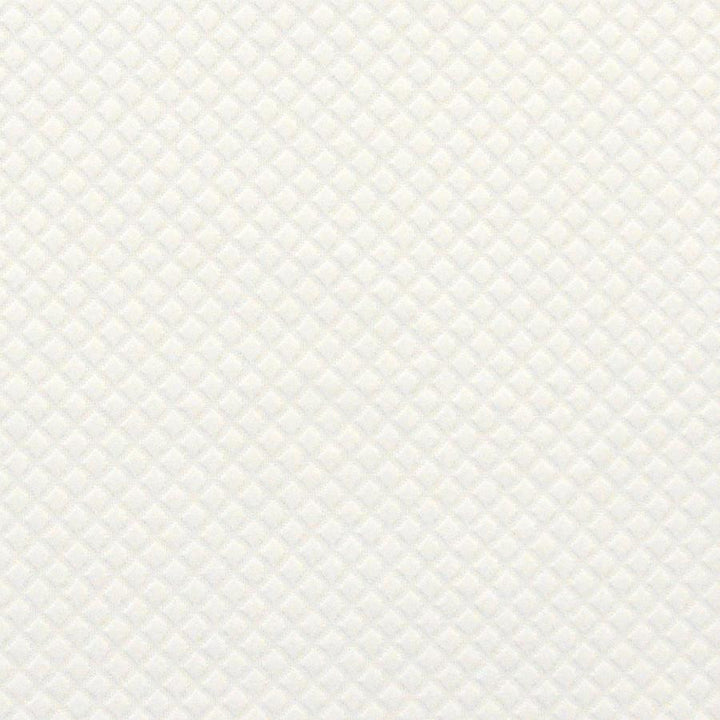 Trove # 437 Blizzard by Maxwell Fabric Color Theory-Vol.Vi Flagstone 100% COTTON INDIA V-0.6"H-0.6" 56" - Fabric Carolina -
