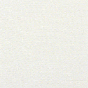 Tiber # 549 Snow by Maxwell Fabric