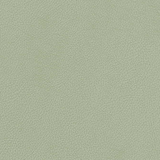 Tannery-Nj # 115 Sprig by Maxwell Designer Fabric Memos Only-Coated Fabrics FACE: 100% POLYURETHANE
BACKING: 65% POLYESTER
35% RAYON KOREA 54" - Swanky Fabrics -