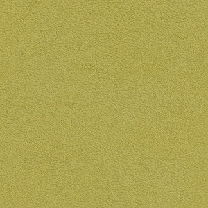 Tannery-Nj # 121 Oasis by Maxwell Fabric