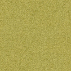 Tannery-Nj # 121 Oasis by Maxwell Fabric
