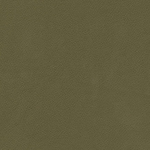 Tannery-Nj # 123 Army by Maxwell Fabric