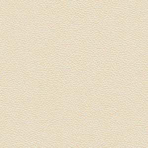Tannery-Nj # 124 Buff by Maxwell Fabric