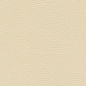 Tebessa-Nj # 137 Natural by Maxwell Fabric