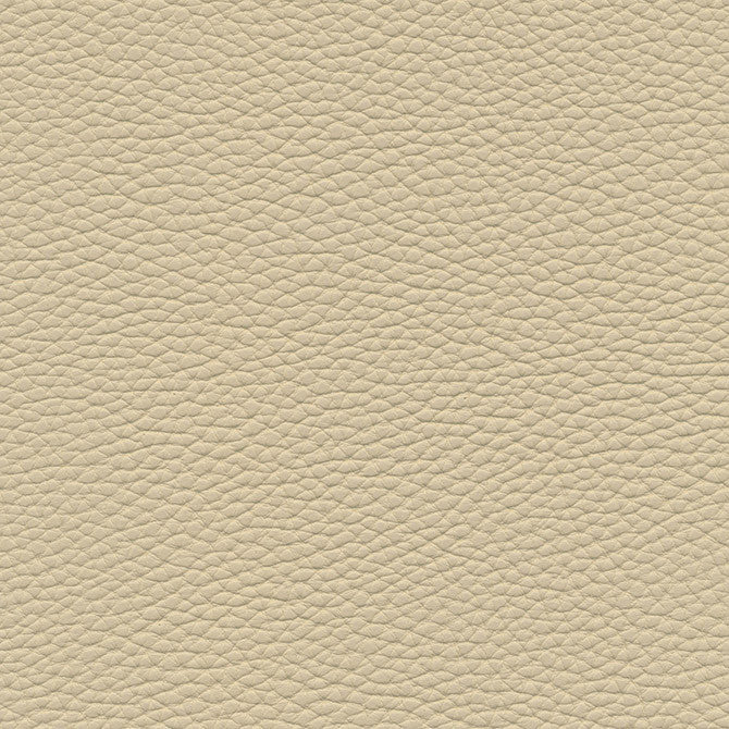 Tebessa-Nj # 138 Almond by Maxwell Fabric Memos Only-Coated Fabrics FACE: 100% PVC
BACKING: 100% POLYESTER VIETNAM 54" - Fabric Carolina -
