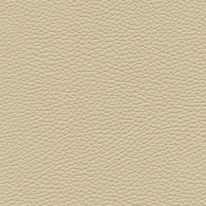 Tebessa-Nj # 138 Almond by Maxwell Fabric